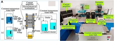 The Effect of Trace Ions on the Performance of Reverse Electrodialysis Using Brine/Seawater as Working Pairs